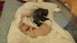 ПРИКОЛЫ. КОШКИ. Cat. Махла кошачков!!! РЖАКА