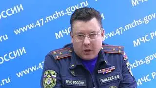 Можно ли сжигать сухую траву на своём участке