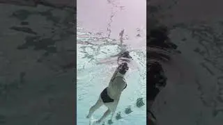 Reach to the Sky Backstroke Swimming Drill -    #swimming #theraceclub  #swim #pool  #swimsuit