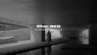Nikon x RED | Creative LUTs – Shooting in Achromic