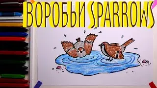 #ВОРОБЕЙ  #какнарисовать Уроки Рисования Для Детей #howtodraw #sparrow #drawforchildren