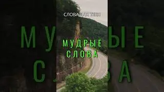 Великолепные Мотивирующие Цитаты | Мудрые Мысли | Мудрые Слова 