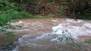 Esopus Creek - The Catskills