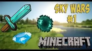 Играем с другом на DMS