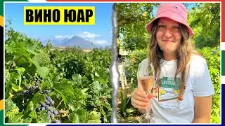 Wine in South Africa / How much does wine tasting cost in South Africa? / South Africa #3