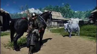 Yagata Farmstead 2 of 2 - Ghost of Tsushima_20220318133431