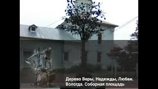 Дерево Веры, Надежды, Любви. Вологда