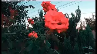 ТАКАЯ КРАСОТА