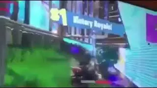 Dog wins game of fortnite
