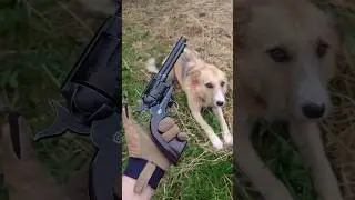 Colt SAA 45 Revolver CO2 