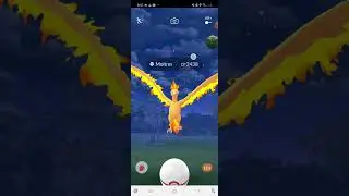 moltres raid pogo