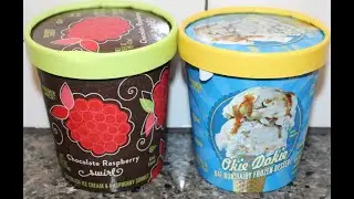 Trader Joe’s: Chocolate Raspberry Swirl & Okie Dokie Oat Non-Dairy Frozen Dessert Review