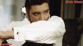 ELVIS PRESLEY -  FOUNTAIN OF LOVE