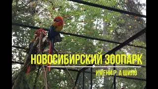 Новосибирский зоопарк