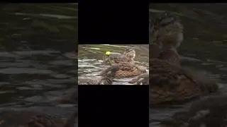 Часть нового видео вам в ленту !#рекомендации #рыбалка #топ