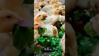 Доброе утро! А у вас что на завтрак☀️👋🍳🤔