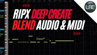 RipX: DeepCreate: Blurring the Lines Between MIDI and Audio