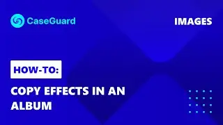 How to copy effects between images in bulk | CaseGuard Studio