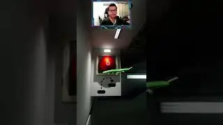 Escapando del pajaro asesino 😨