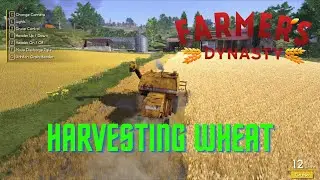 Farmer's Dynasty Harvesting Wheat