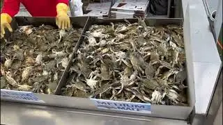 Huge Crab Market!!! Cooked Crabs and Live Crabs!!! 😱😱😳😳😮😮😯😯🙀🙀
