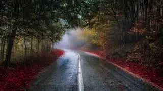 Fall asleep faster with soothing rain and thunder sounds