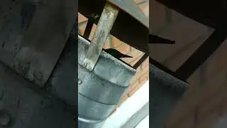 Жаркий плен 🔥