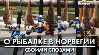 Рыбалка в Норвегии: удилища