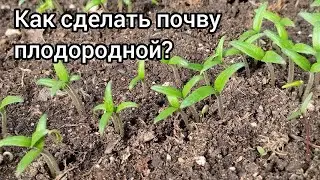 Причины утомления почвы и несколько способов вернуть её плодородие. Утро Донбасса 11.05. 2023