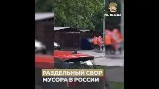 Раздельный сбор мусора в России