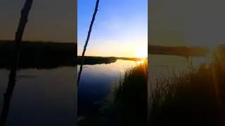 🌄 Ранок перед Риболовлею #shorts