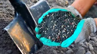 Перекапывать Сидераты Осень Или Нет - Я Для Себя Давно Нашёл Ответ Как Правильно Всё Сделать