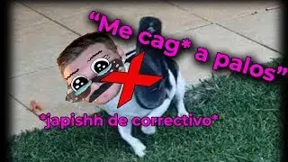 ANECDOTA DE STREAM - MAMA EN MODO NANCY