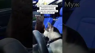 🤣🤣🤣 #контент #travel #семья #прикол