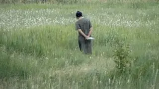 признание в любви