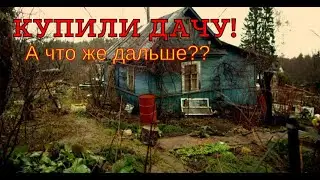 Купили Дачу! Планы на Будущее!