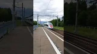 сапсан летит в Москву | #music #рек #train #рекомендации