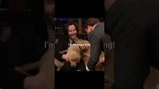 John Wick if he never got his dog killed 😔 #moviebuff #cinemalovers #keanureeves
