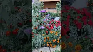 Осенние заметки