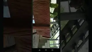 الكلب والقرد المزعج@