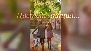Цветёт Акация…