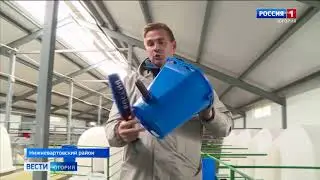 Новый коровник в Нижневартовском районе ХМАО увеличит производство молока
