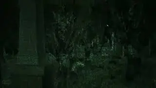 Ghost near my house