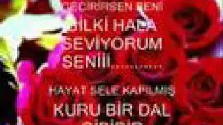 sen herşeyimsin bitanesi