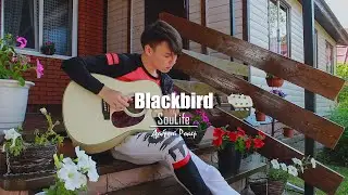 The Beatles - Blackbird (Кавер на русском)