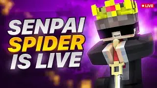 The Rise of Hogalalla SMP | SenpaiSpider is Live