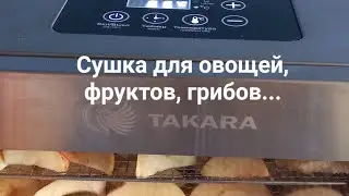 Дегидратор🍏🍒🍌#дегидратор #кухня #готовим #еда #покупки #вайлдберриз #техника #детям  #заготовки