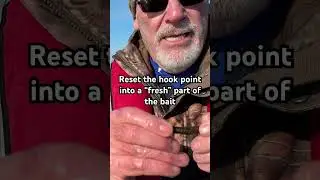 Ned rig, catch more fish with the same one 