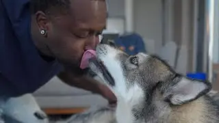 Grooming my Husky | Cloned Him