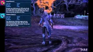 [Tera HD] Guide to Warriors